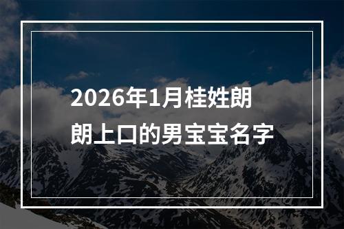 2026年1月桂姓朗朗上口的男宝宝名字