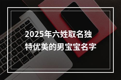 2025年六姓取名独特优美的男宝宝名字