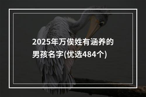 2025年万俟姓有涵养的男孩名字(优选484个)