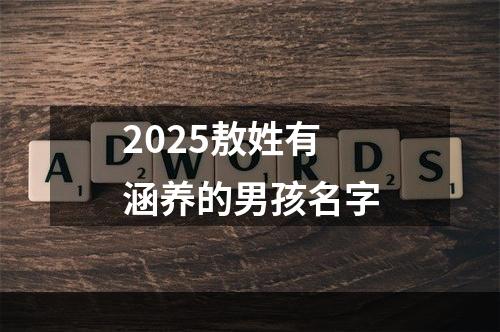 2025敖姓有涵养的男孩名字