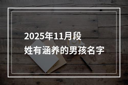 2025年11月段姓有涵养的男孩名字
