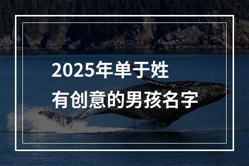 2025年单于姓有创意的男孩名字