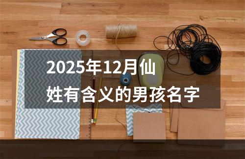 2025年12月仙姓有含义的男孩名字