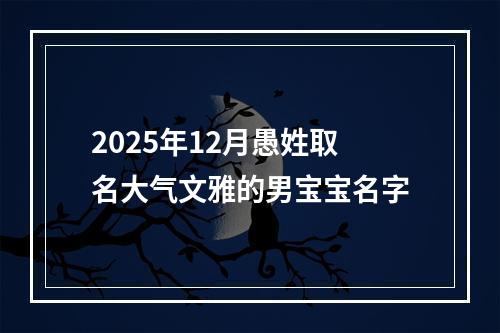 2025年12月愚姓取名大气文雅的男宝宝名字