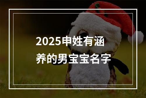 2025申姓有涵养的男宝宝名字