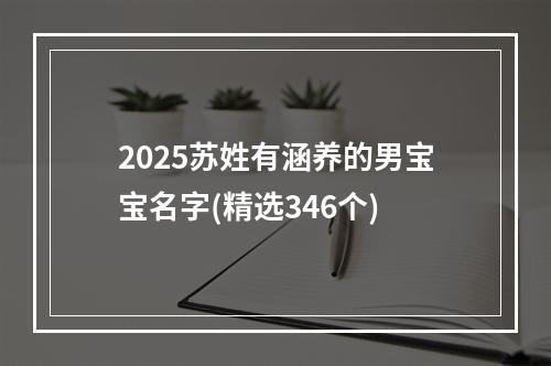 2025苏姓有涵养的男宝宝名字(精选346个)