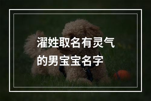濯姓取名有灵气的男宝宝名字