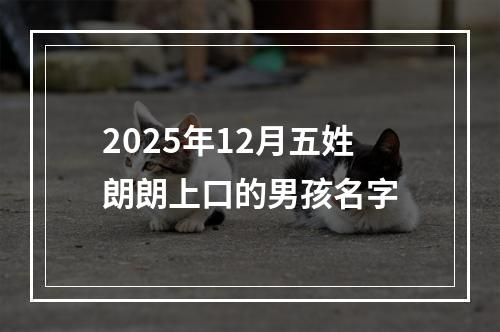 2025年12月五姓朗朗上口的男孩名字