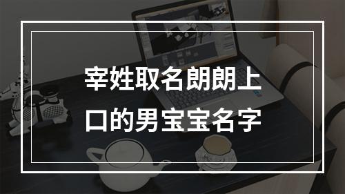 宰姓取名朗朗上口的男宝宝名字