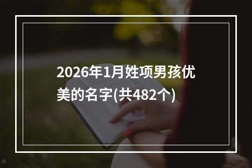 2026年1月姓项男孩优美的名字(共482个)