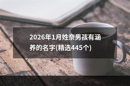 2026年1月姓奈男孩有涵养的名字(精选445个)