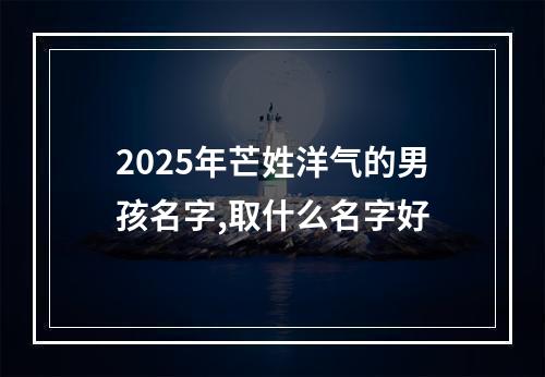 2025年芒姓洋气的男孩名字,取什么名字好