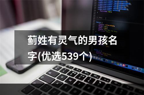 蓟姓有灵气的男孩名字(优选539个)