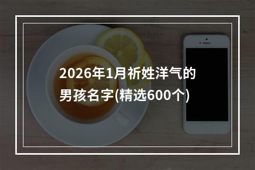 2026年1月祈姓洋气的男孩名字(精选600个)