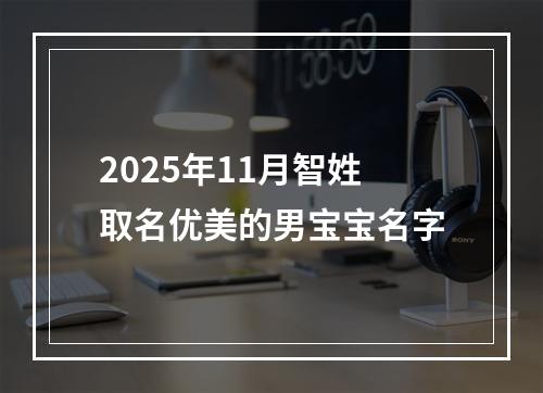 2025年11月智姓取名优美的男宝宝名字