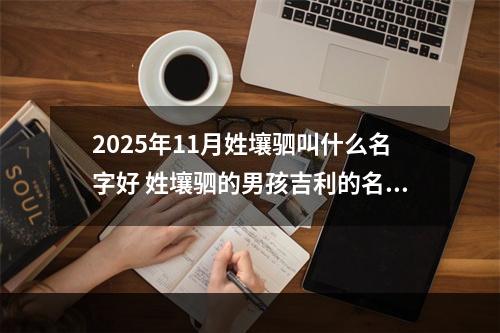 2025年11月姓壤驷叫什么名字好 姓壤驷的男孩吉利的名字