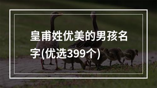 皇甫姓优美的男孩名字(优选399个)