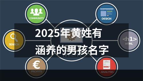 2025年黄姓有涵养的男孩名字