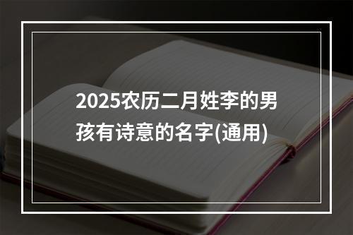 2025农历二月姓李的男孩有诗意的名字(通用)