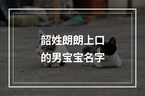 韶姓朗朗上口的男宝宝名字