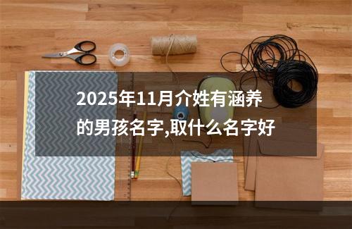 2025年11月介姓有涵养的男孩名字,取什么名字好