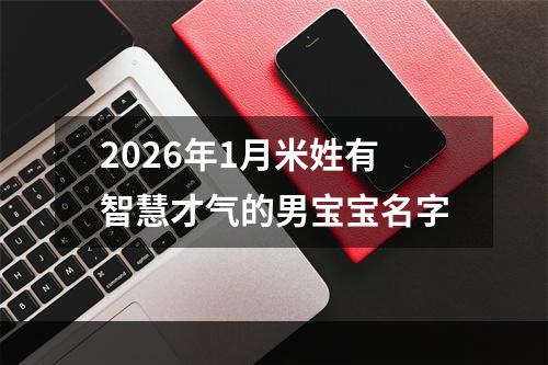 2026年1月米姓有智慧才气的男宝宝名字