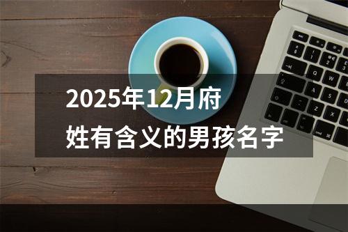 2025年12月府姓有含义的男孩名字