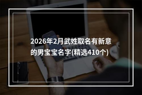 2026年2月武姓取名有新意的男宝宝名字(精选410个)