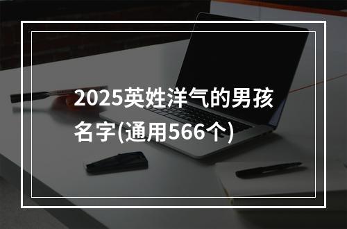 2025英姓洋气的男孩名字(通用566个)