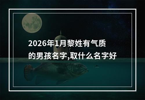 2026年1月黎姓有气质的男孩名字,取什么名字好