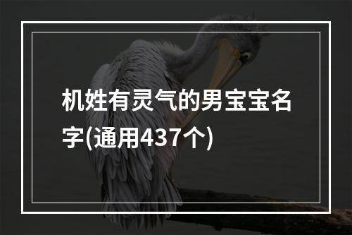 机姓有灵气的男宝宝名字(通用437个)