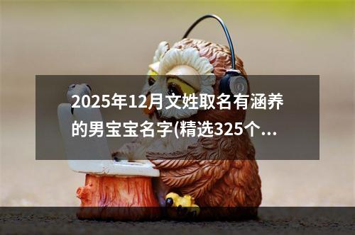 2025年12月文姓取名有涵养的男宝宝名字(精选325个)