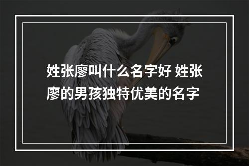 姓张廖叫什么名字好 姓张廖的男孩独特优美的名字