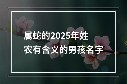 属蛇的2025年姓农有含义的男孩名字