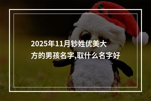 2025年11月钞姓优美大方的男孩名字,取什么名字好