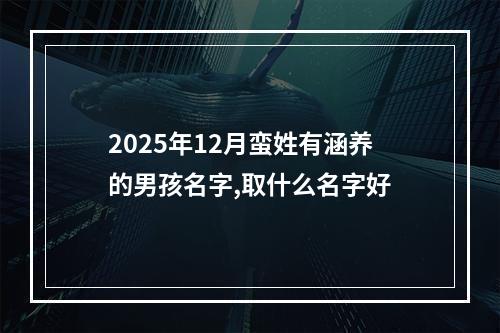 2025年12月蛮姓有涵养的男孩名字,取什么名字好