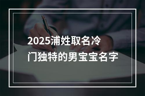 2025浦姓取名冷门独特的男宝宝名字