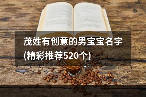 茂姓有创意的男宝宝名字(精彩推荐520个)