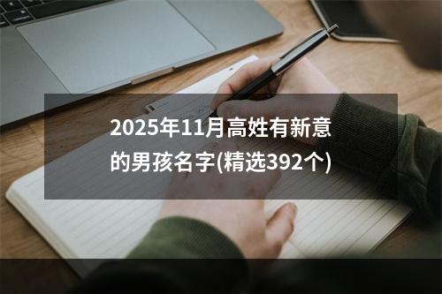 2025年11月高姓有新意的男孩名字(精选392个)