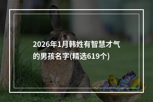 2026年1月韩姓有智慧才气的男孩名字(精选619个)