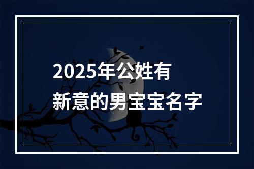 2025年公姓有新意的男宝宝名字