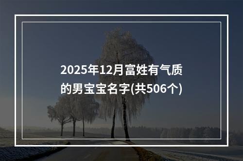 2025年12月富姓有气质的男宝宝名字(共506个)
