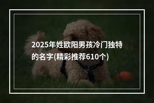 2025年姓欧阳男孩冷门独特的名字(精彩推荐610个)