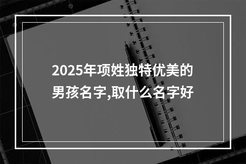 2025年项姓独特优美的男孩名字,取什么名字好