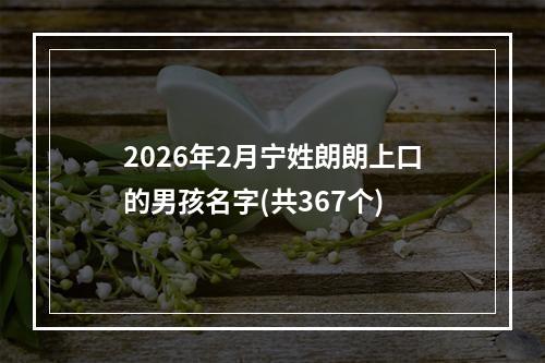 2026年2月宁姓朗朗上口的男孩名字(共367个)