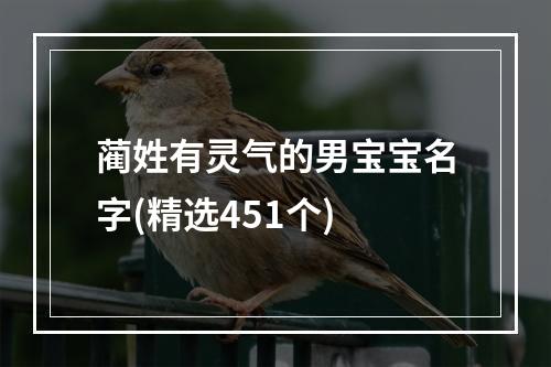 蔺姓有灵气的男宝宝名字(精选451个)
