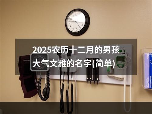 2025农历十二月的男孩大气文雅的名字(简单)