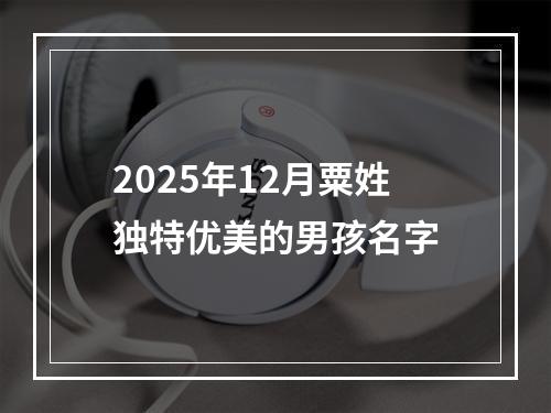 2025年12月粟姓独特优美的男孩名字