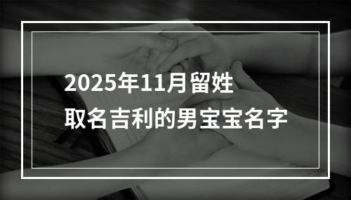 2025年11月留姓取名吉利的男宝宝名字