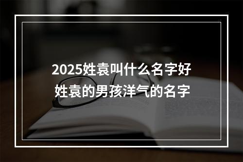 2025姓袁叫什么名字好 姓袁的男孩洋气的名字